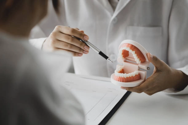How Often Should You Visit the Dentist in Miami? A Preventive Guide for Better Oral Health